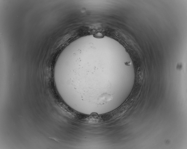 X0000094060756200711091128