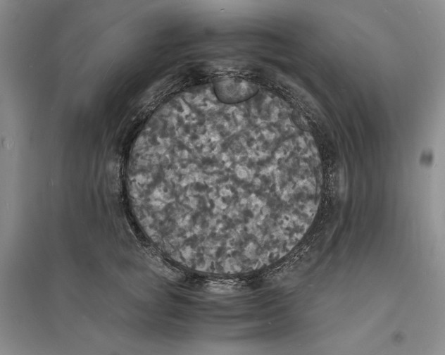 X0000094060757200711091128