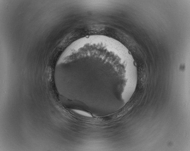 X0000094060758200711091128