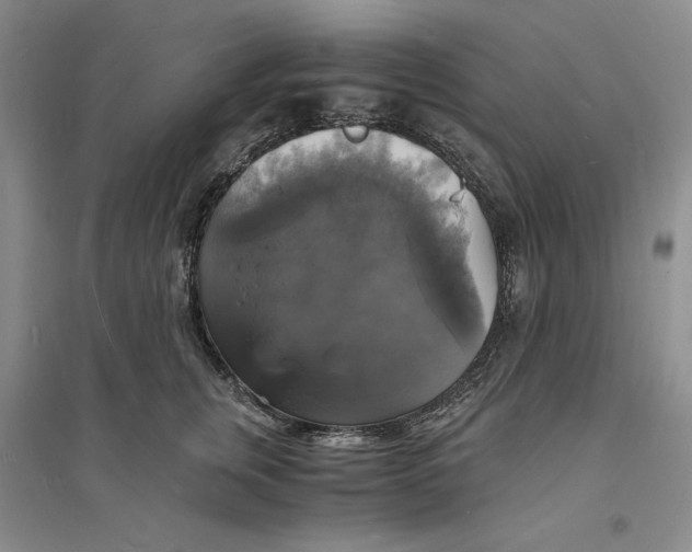 X0000094060759200711091128