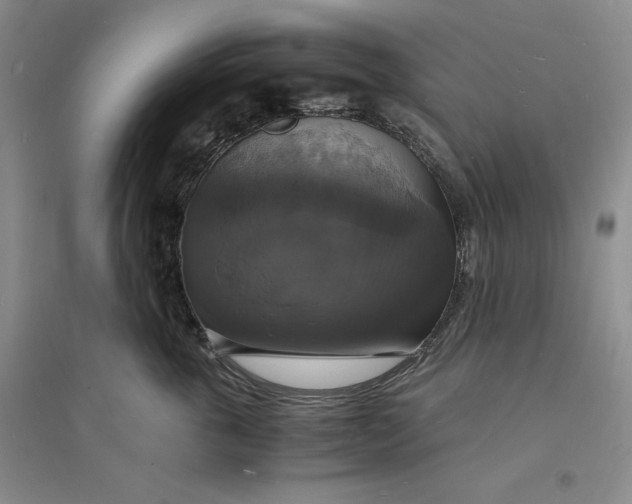 X0000094060763200711091128