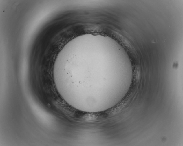 X0000094060764200711091128