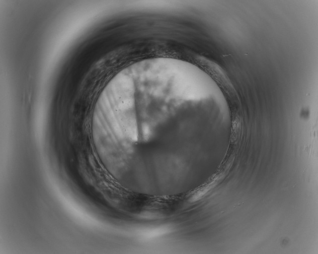 X0000094060765200711091128