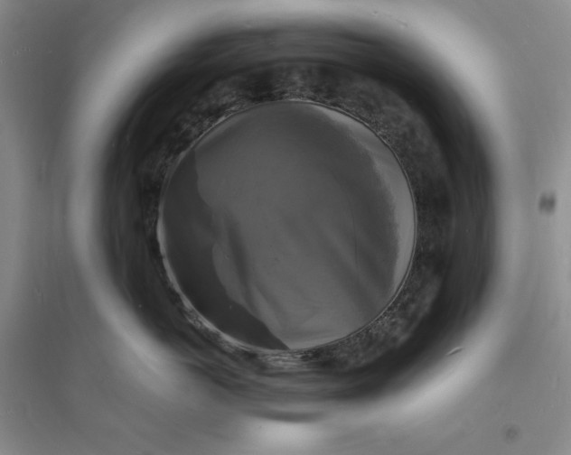 X0000094060766200711091128