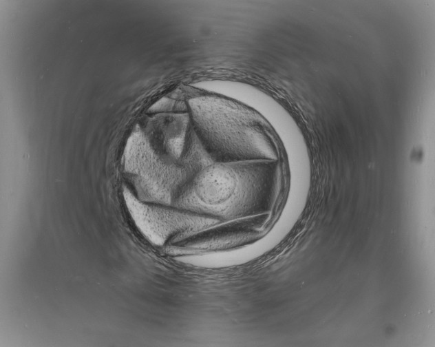 X0000094060769200711091127