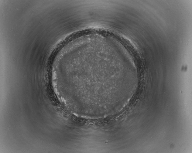 X0000094060776200711091127