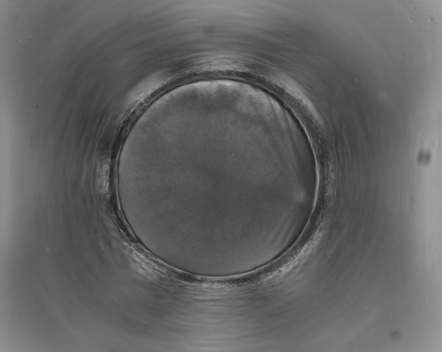 X0000094060777200711091127
