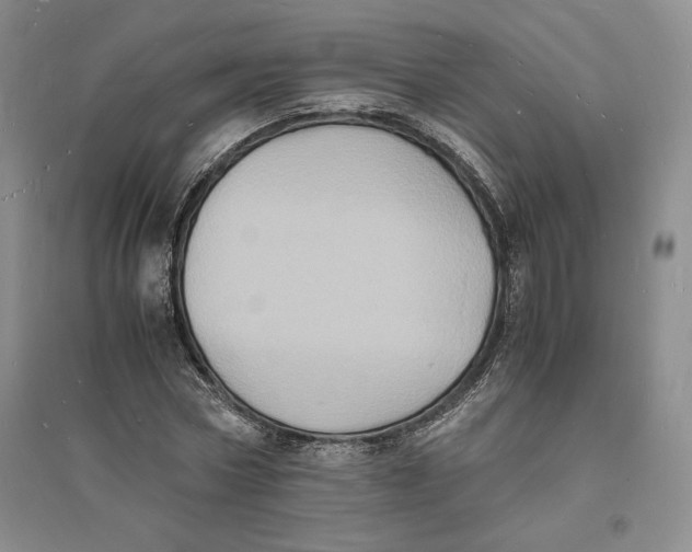 X0000094060778200711091127