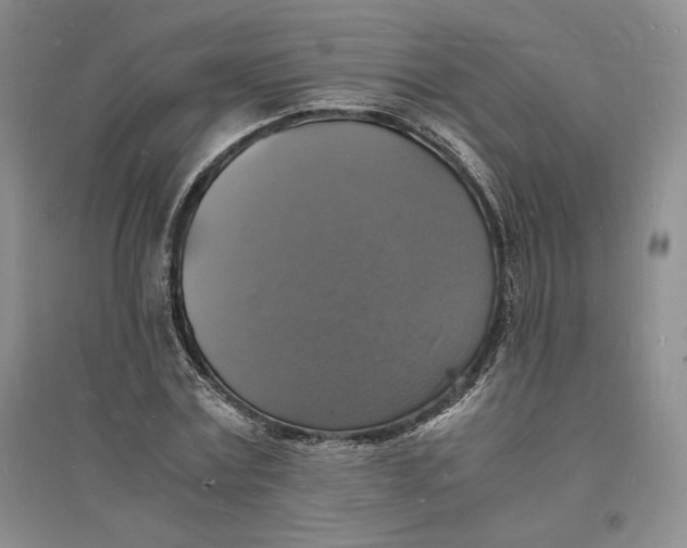 X0000094060779200711091127