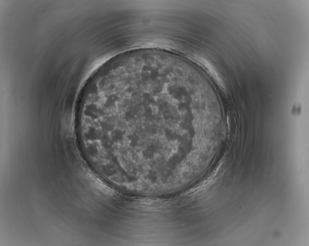 X0000094060780200711091127