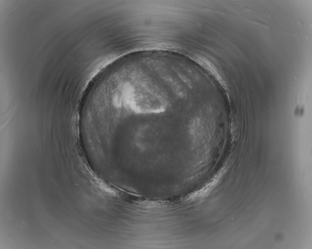 X0000094060781200711091127