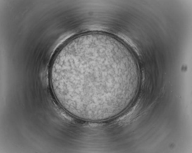 X0000094060782200711091127