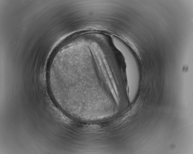 X0000094060784200711091127