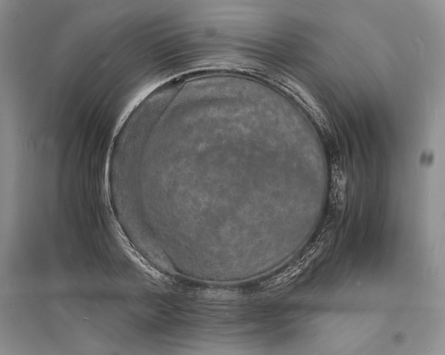X0000094060788200711091127