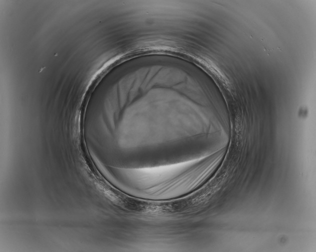 X0000094060790200711091127
