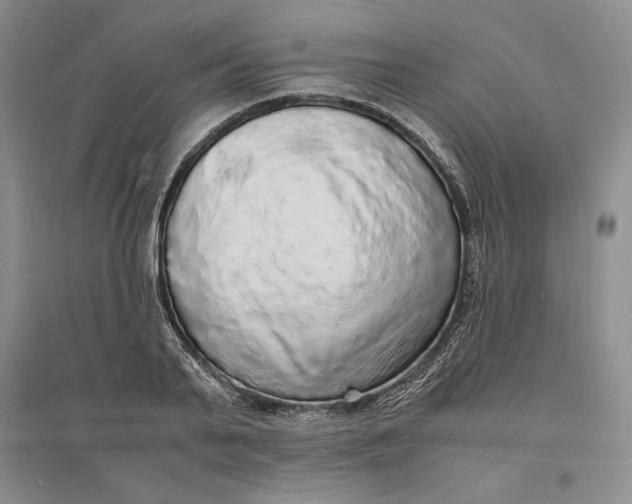 X0000094060791200711091127