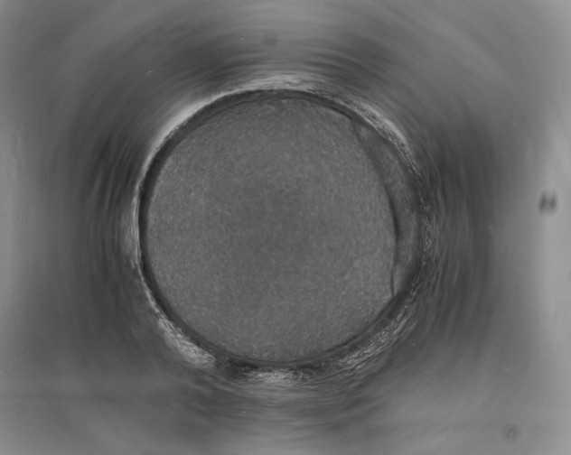 X0000094060792200711091127