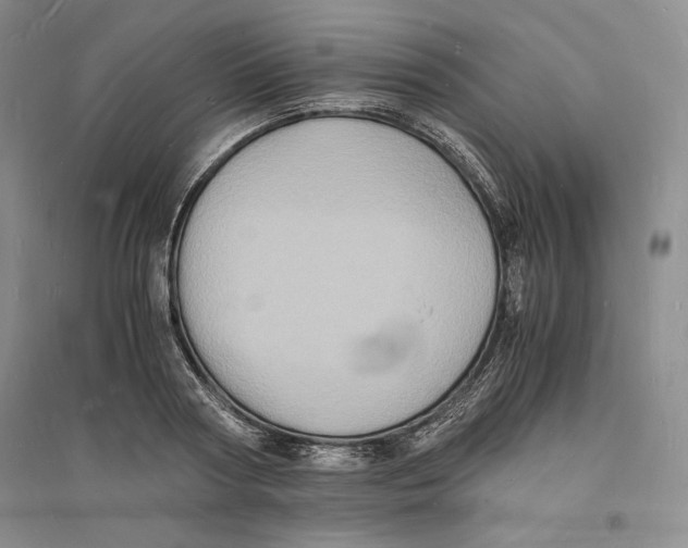 X0000094060794200711091127