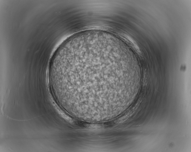 X0000094060796200711091127