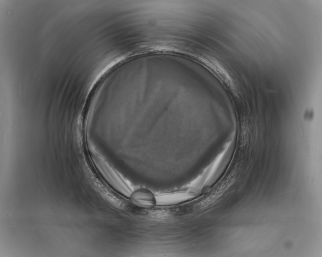 X0000094060798200711091127
