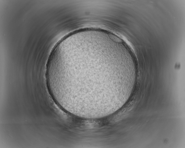 X0000094060799200711091127
