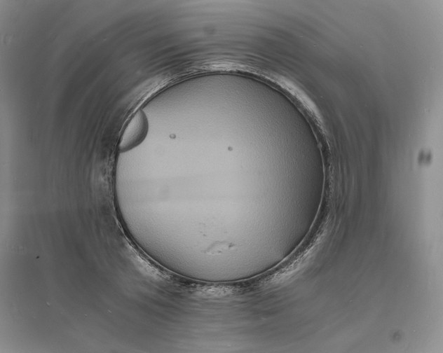 X0000094060801200711091126