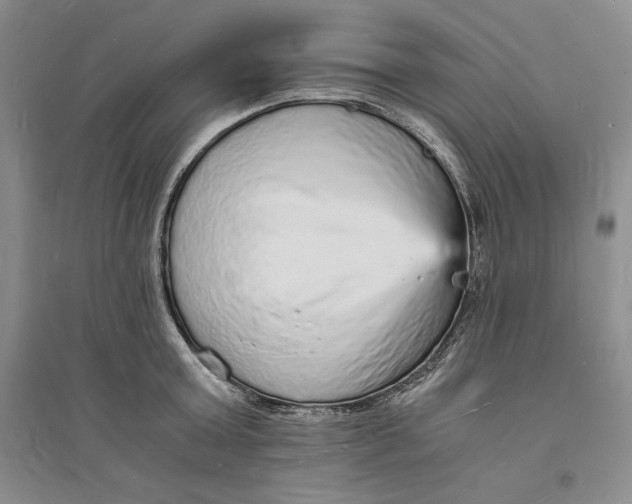 X0000094060803200711091126