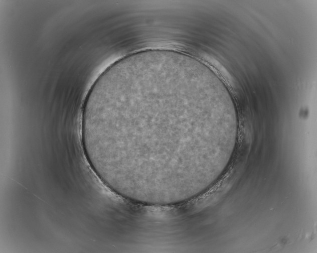 X0000094060804200711091126