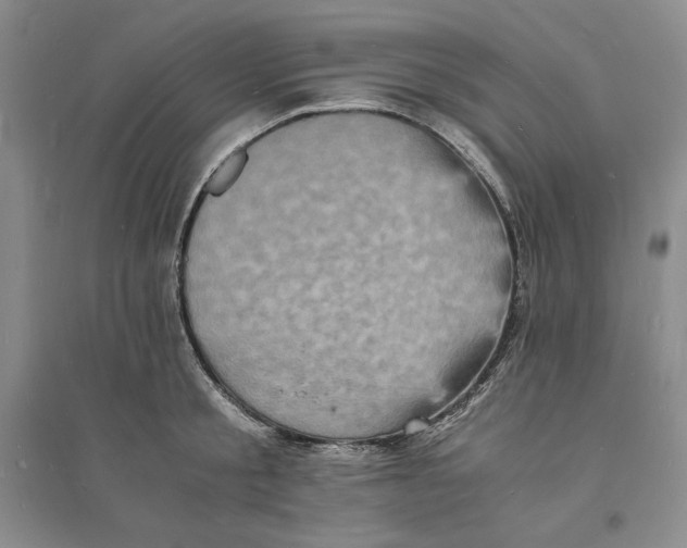 X0000094060805200711091126