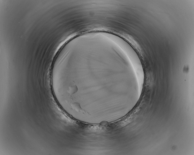 X0000094060806200711091126