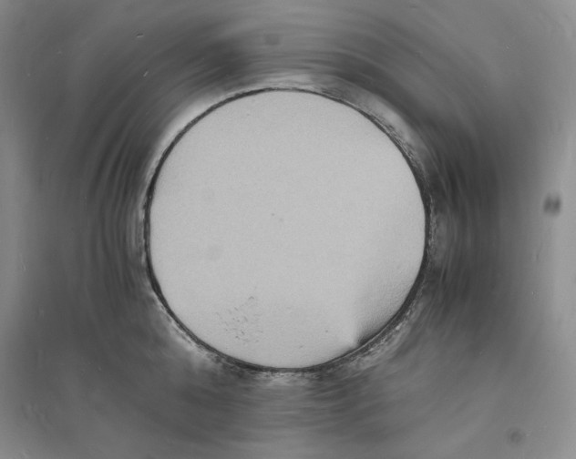 X0000094060808200711091126