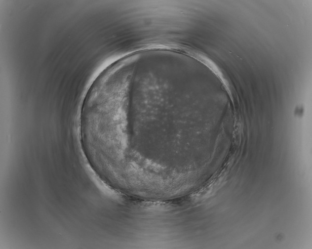 X0000094060811200711091126
