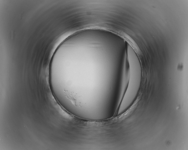 X0000094060812200711091126