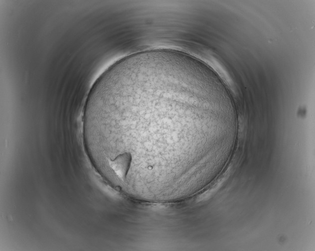 X0000094060814200711091126