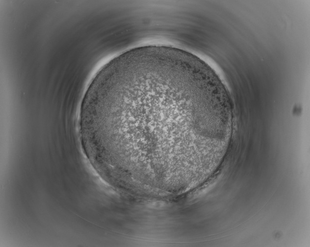 X0000094060815200711091126