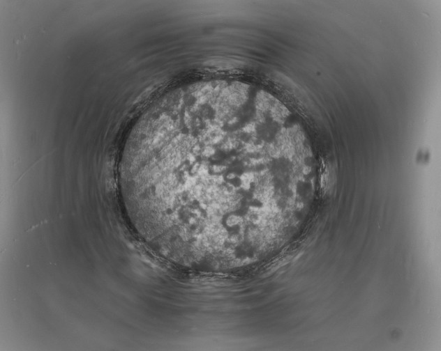 X0000094060819200711091126