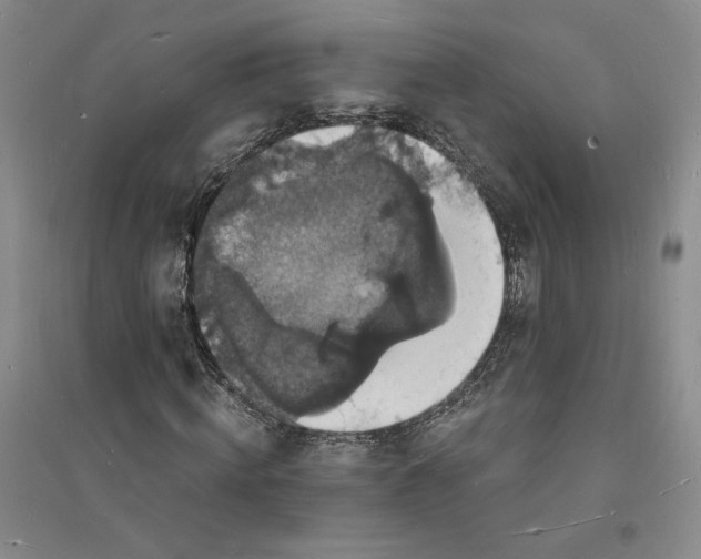 X0000094060820200711091126