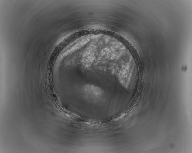X0000094060823200711091126