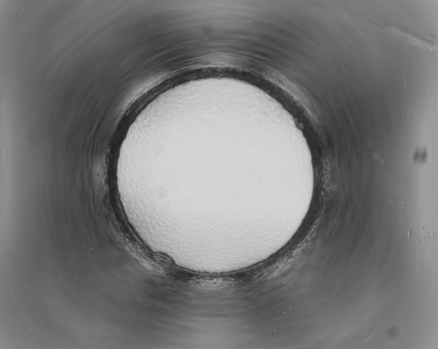 X0000094060826200711091126