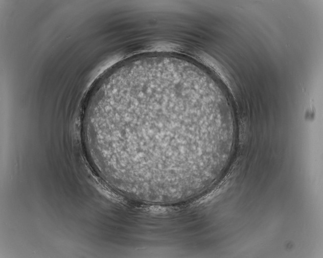 X0000094060827200711091126