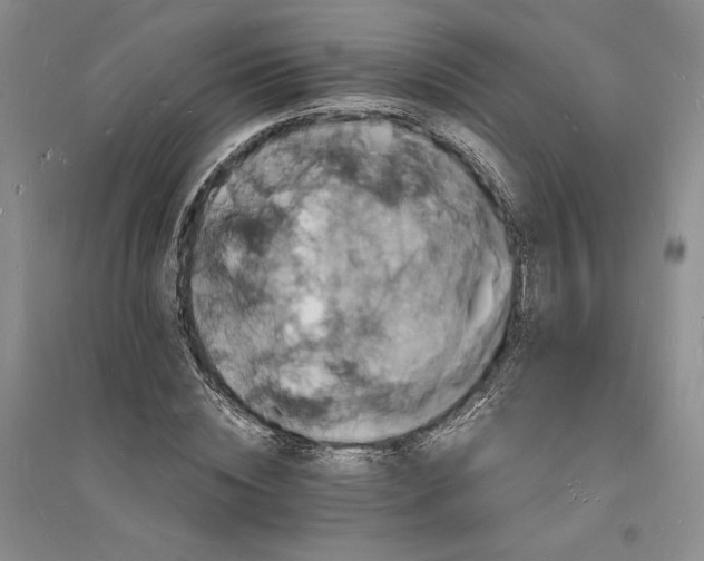 X0000094060828200711091126