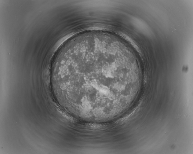 X0000094060829200711091126
