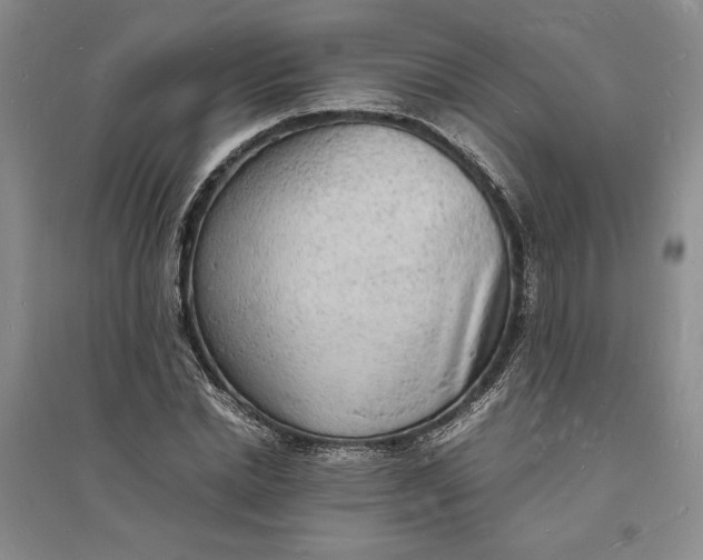 X0000094060830200711091126