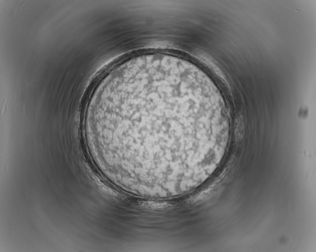 X0000094060831200711091126