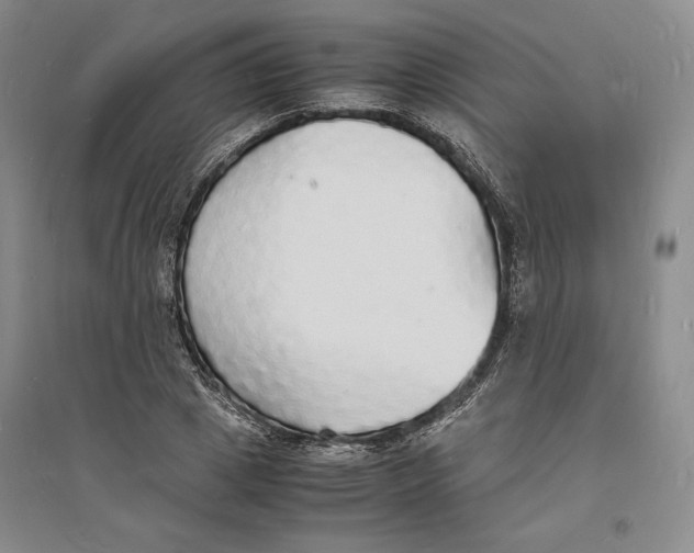 X0000094060833200711091126