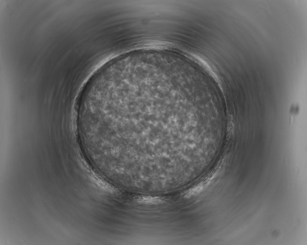 X0000094060835200711091126