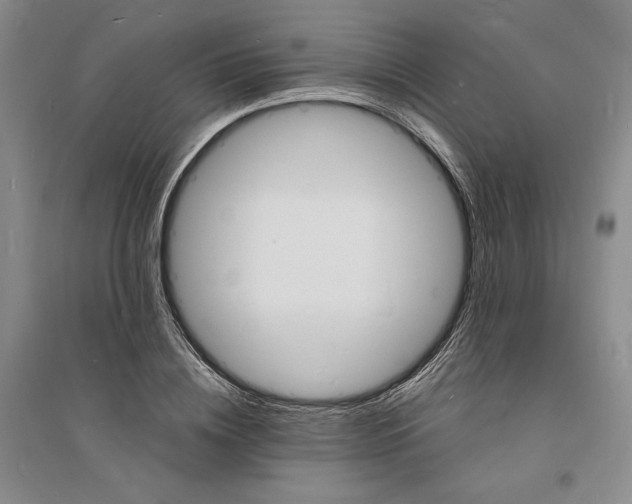 X0000094060836200711091126