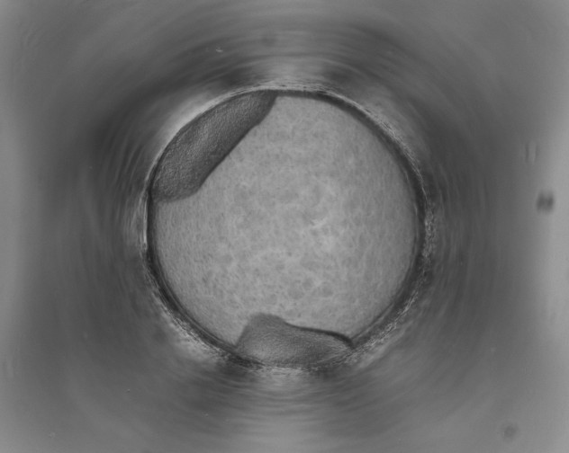 X0000094060838200711091126