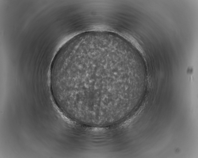 X0000094060839200711091126