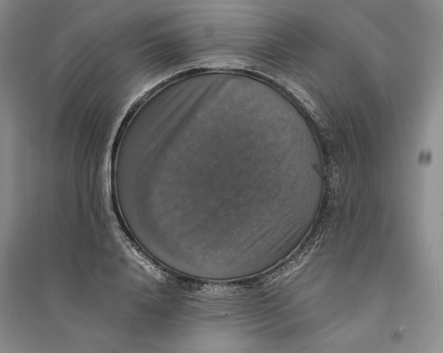 X0000094060840200711091126